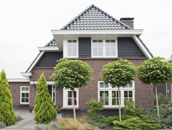 Droomhuis te Den Hoorn