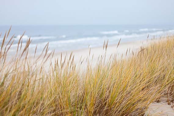 Achter de Duinen Monster